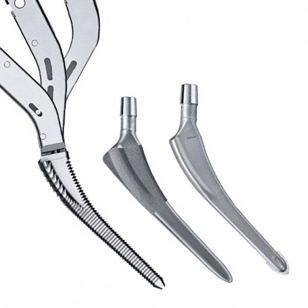 استم بدون سیمان اگزیا